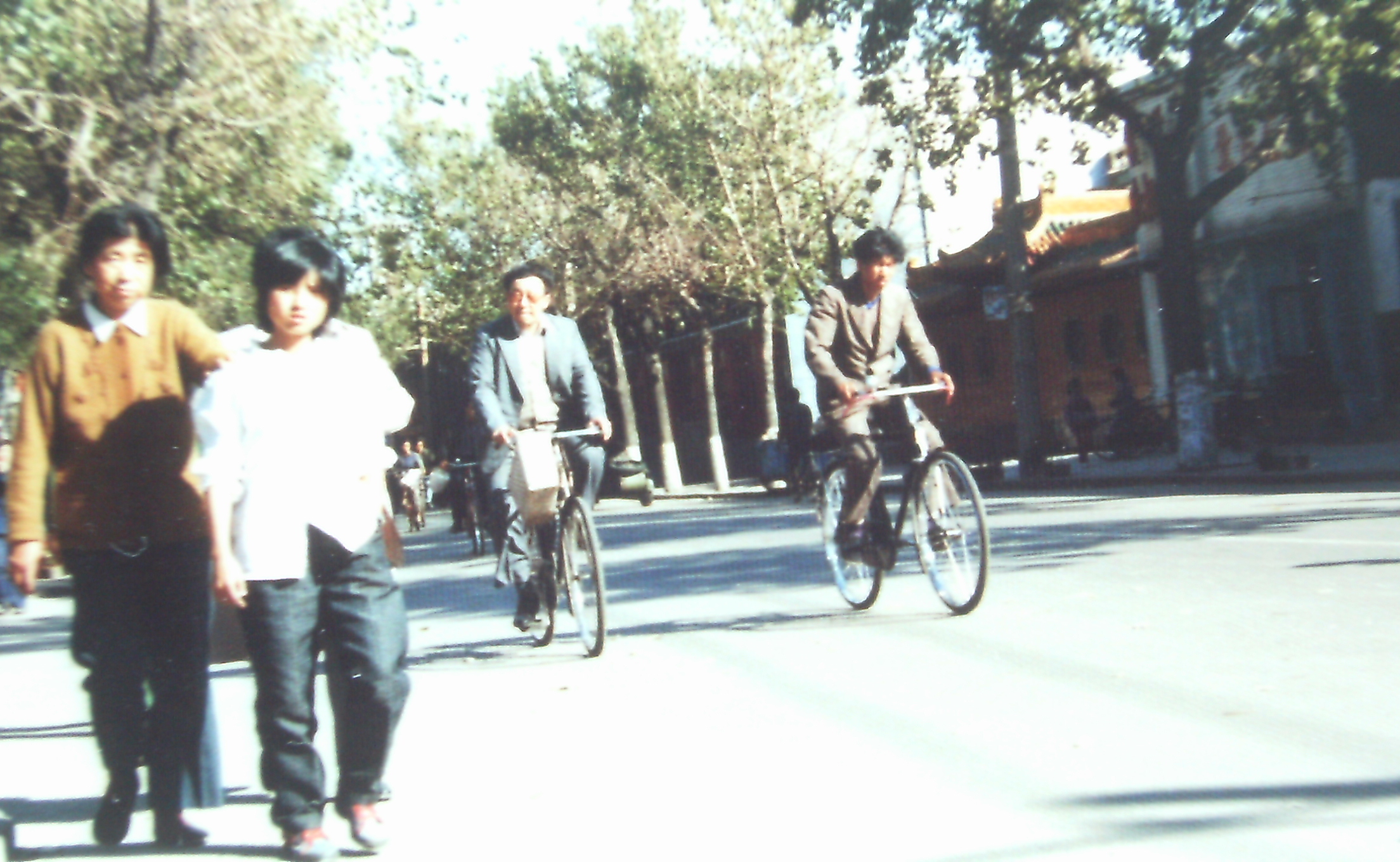 ܂Ȃ̗lq